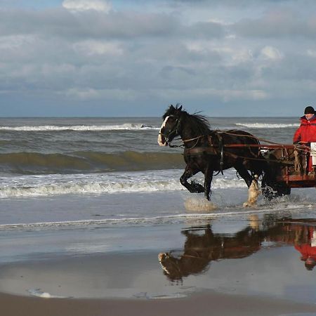 דירות אגמונד אן זי Centraal Aan Zee מראה חיצוני תמונה