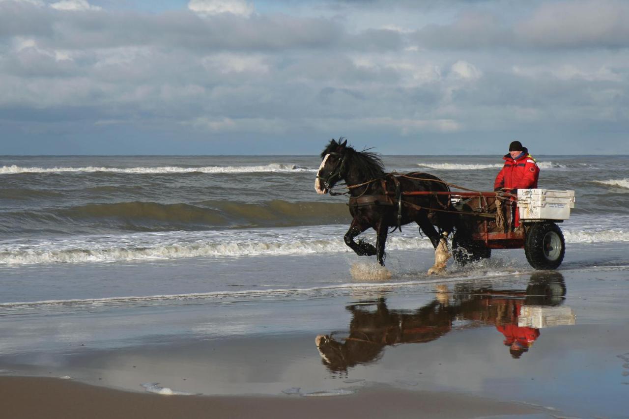 דירות אגמונד אן זי Centraal Aan Zee מראה חיצוני תמונה