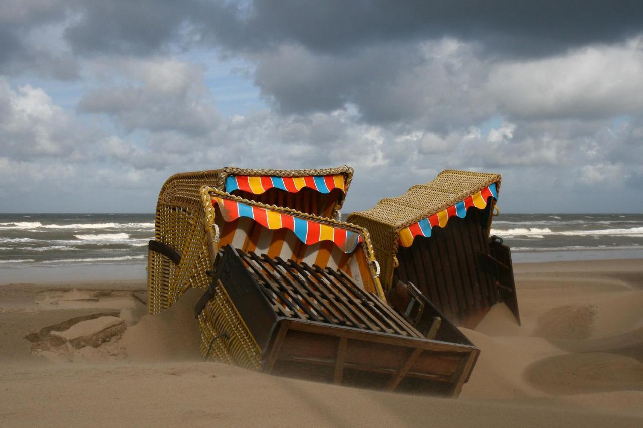 דירות אגמונד אן זי Centraal Aan Zee מראה חיצוני תמונה